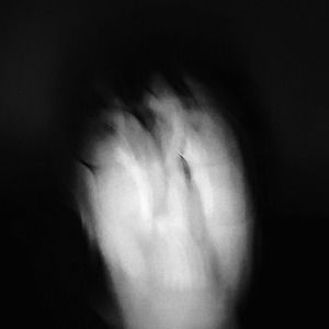 Meet your Posher, Dan